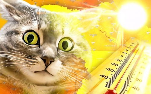На Дніпропетровщину суне пекельна спека до +40°C: як врятувати організм від перегріву