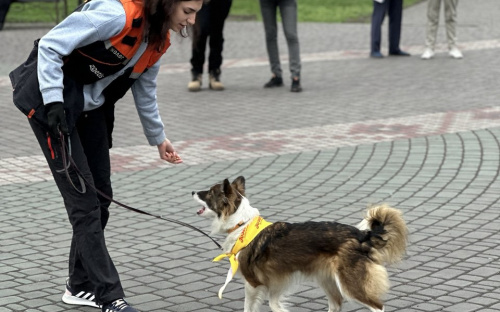 У Кам’янському чотирилапі друзі дарували радість та емоційну підтримку дітям-переселенцям з Маріуполя