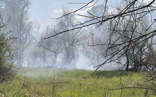 У Кам'янському горіла Самишина балка - що відомо про куточок дикої природи в межах великого міста