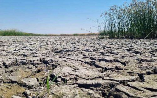 Екологічна катастрофа у Кам'янському районі: водойма перетворилася на сухе дно, мешканці б'ють на сполох