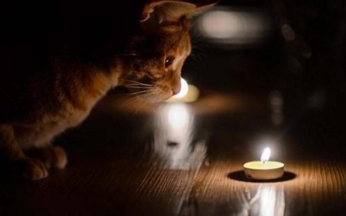 У Кам'янському у п'ятницю, 25 липня, вимикатимуть світло: графік та адреси відключень
