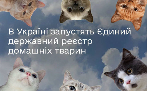 В Україні з’явиться Єдиний державний реєстр домашніх тварин - подробиці
