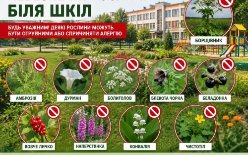 Небезпечні рослини біля шкіл: що заборонено висаджувати, розповіли у Держпродспоживслужбі