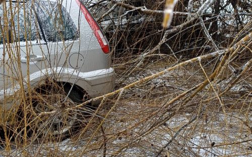 Наслідки ожеледі: у Кам’янському дерево не витримало негоди та пошкодило два автомобілі