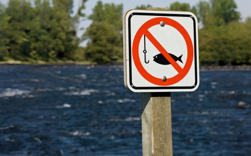 На Кам’янському водосховищі стартує нерестова заборона: де не можна рибалити