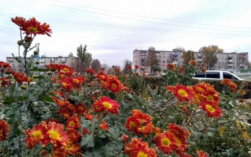 До України йде потепління: синоптики розповіли, коли у Кам'янському підвищиться температура