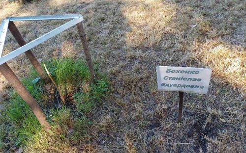 Цинічний злочин: у Кам'янському вандали знищили пам'ятні дерева, висаджені на честь загиблих воїнів