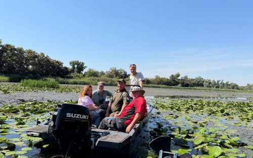 Зміни водного режиму та нові звички бобрів: журналісти з Нідерландів відвідали заповідник на Дніпропетровщині