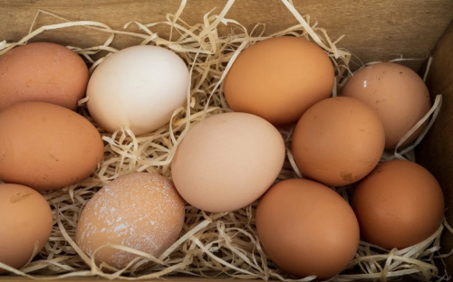 Яйця стають делікатесом: у листопаді ціни на цей продукт встановили антирекорд