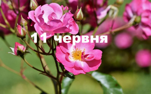 Сьогодні заборонено сваритися - традиції та прикмети 11 червня