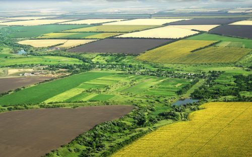 Дніпропетровщина потрапила до п’ятірки регіонів із найнижчими цінами на сільгоспземлю - Опендатабот