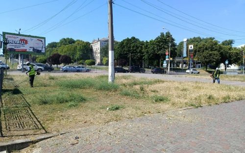 Кам'янське стає сухим та без зелені на газонах: чому тотальний покос трави у спеку лише шкодить місту