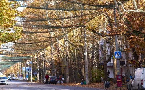 Кам’янське надасть плече допомоги Нікополю для убезпечення транспорту від ворожих атак – подробиці