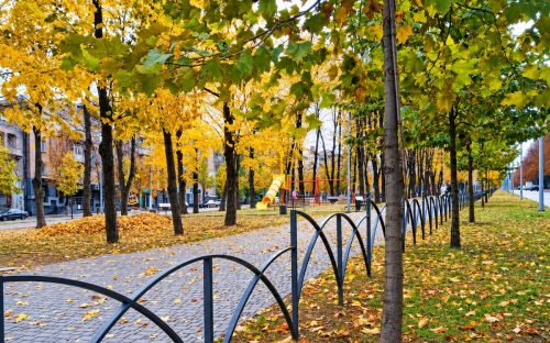 Антициклон принесе сонце: якою буде погода на Дніпропетровщині та у Кам’янському на перші жовтневі вихідні