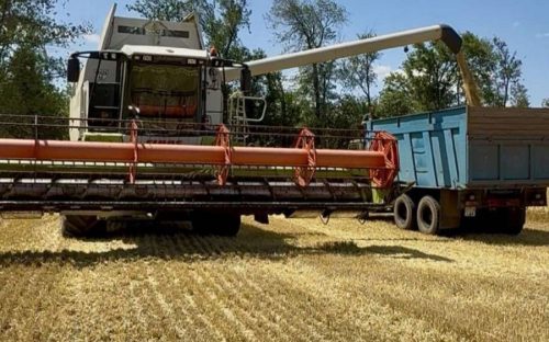 У Кам'янському районі розпочався жнивний сезон ранніх зернових - подробиці