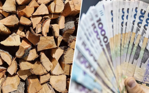 Зимова допомога: хто з українців отримає 8000 грн на тверде паливо