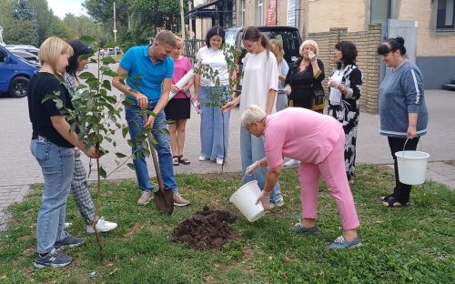 «Від серця до неба»: у Кам’янському переселенці з Донеччини висадили дерева на згадку про українських героїв