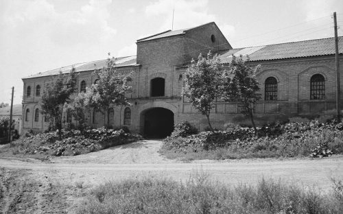 Німецька спадщина на Дніпропетровщині: що залишилося від старих менонітських колоній