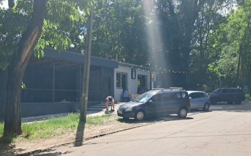 У центрі Кам'янського заради парковки вирубали дерева, позбавивши сну поранених ветеранів - подробиці