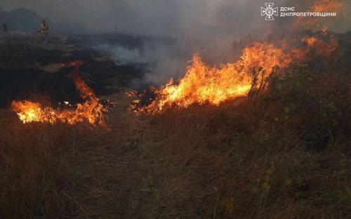 Масштабна пожежа, що сталася в Кам'янському районі, локалізована - офіційна заява ДніпроОВА