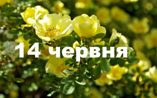 Сьогодні не варто лінуватися і не можна вживати алкоголь: традиції та прикмети 14 червня