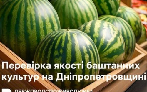 Як не отруїтися кавуном та динею: на Дніпропетровщині назвали головні ознаки плодів із нітратами