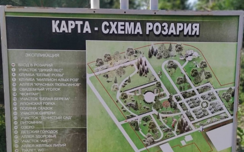Раптове закриття розарію в Кам’янському: що відбувається з ботанічним садом хімкомбінату «ДНІПРОАЗОТ»