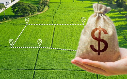 Дніпропетровщина – серед лідерів із продажу землі: хто і скільки купує