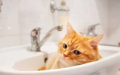 Водна криза в Кам'янському: чому без води залишилися тисячі жителів Лівого берега