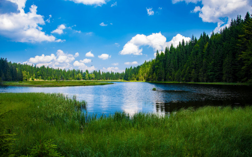Забруднення води на Дніпропетровщині: еколог розповів, наскільки серйозна проблема і чому