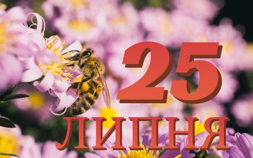 Сьогодні не рекомендується їсти солодке та їжу, яку приготували сторонні люди: традиції та прикмети 25 липня