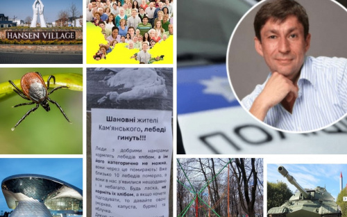 Вбивство колишнього віце-мера у Кам'янському, градація молодості, масова загибель лебедів - дайджест найцікавіших новин за минулий тиждень