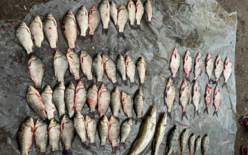 На Кам’янському водосховищі 