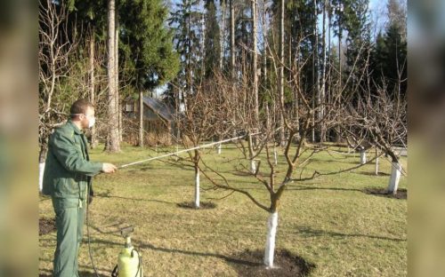 Осіння обробка саду на Дніпропетровщині: чим обприскати дерева у вересні для повного знищення шкідників