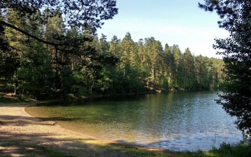 Загадка найглибших озер Дніпропетровщини: чому вода в них має аномальну температуру