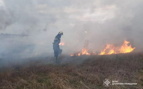 Екосистеми Дніпропетровщини від початку року палали близько 1400 разів - подробиці