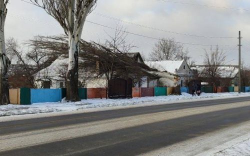 У Кам’янському через вітер дерево впало на будинок - фотофакт