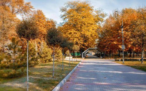 Нічні заморозки та помірні дощі - яка погода буде у Кам'янському на наступному тижні