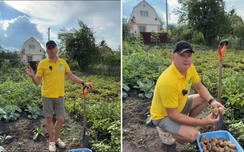 Що обов'язково потрібно зробити на грядках у серпні, щоб земля відпочила і дала подвійний врожай наступного року