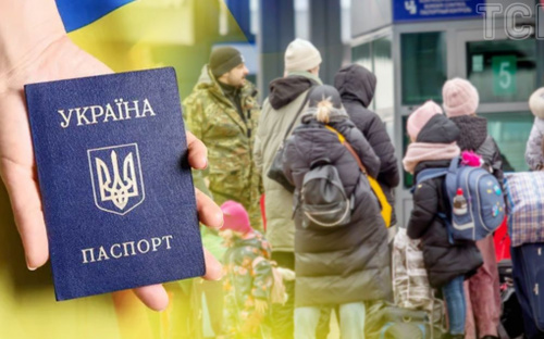 В Україна створять Міністерство демографії та діаспори: чим займатиметься нова структура