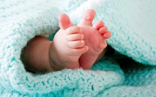 Кого у Кам'янському народилось більше за перший тиждень нового року - дівчат чи хлопців