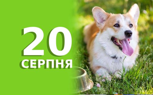 Сьогодні не слід залишати малих дітей самих у кімнаті:  традиції та прикмети 20 серпня