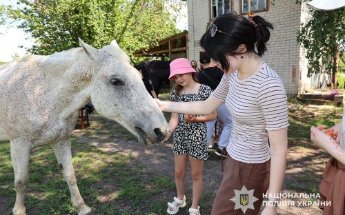 Терапія добром: на кінній фермі Кам’янського району відбувся захід для ветеранів