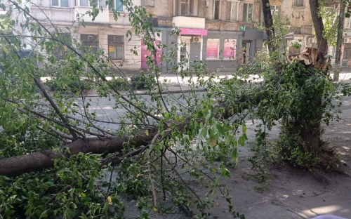 У Кам’янському районі вирує негода: дерева падають на авто, без світла залишилися декілька районів
