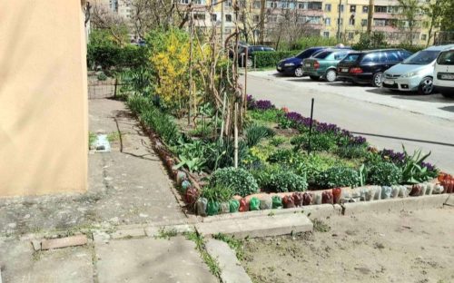 Скільки коштує зняти чи купити квартиру у Кам'янському - розповів директор агентства нерухомості