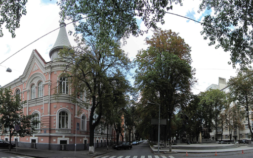 Для промислового Кам’янського: сім найстійкіших дерев, які витримують спеку, пил і загазованість