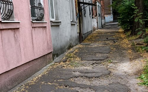 Смуга перешкод для відвідувачів Червоного Хреста: у Кам’янському обурюються станом прибудинкової території
