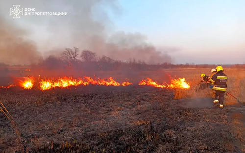 У Кам'янському районі рятувальники загасили понад дев’яносто пожеж на відкритих теріторіях