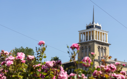 Коли в Кам’янському розпочнеться справжня весна - метеорологи назвали точну дату