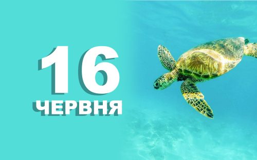 Сьогодні заборонено укладати угоди: традиції та прикмети 16 червня